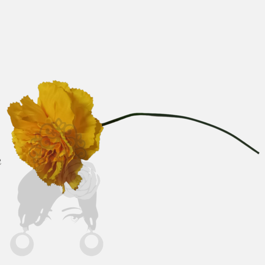 Carnations