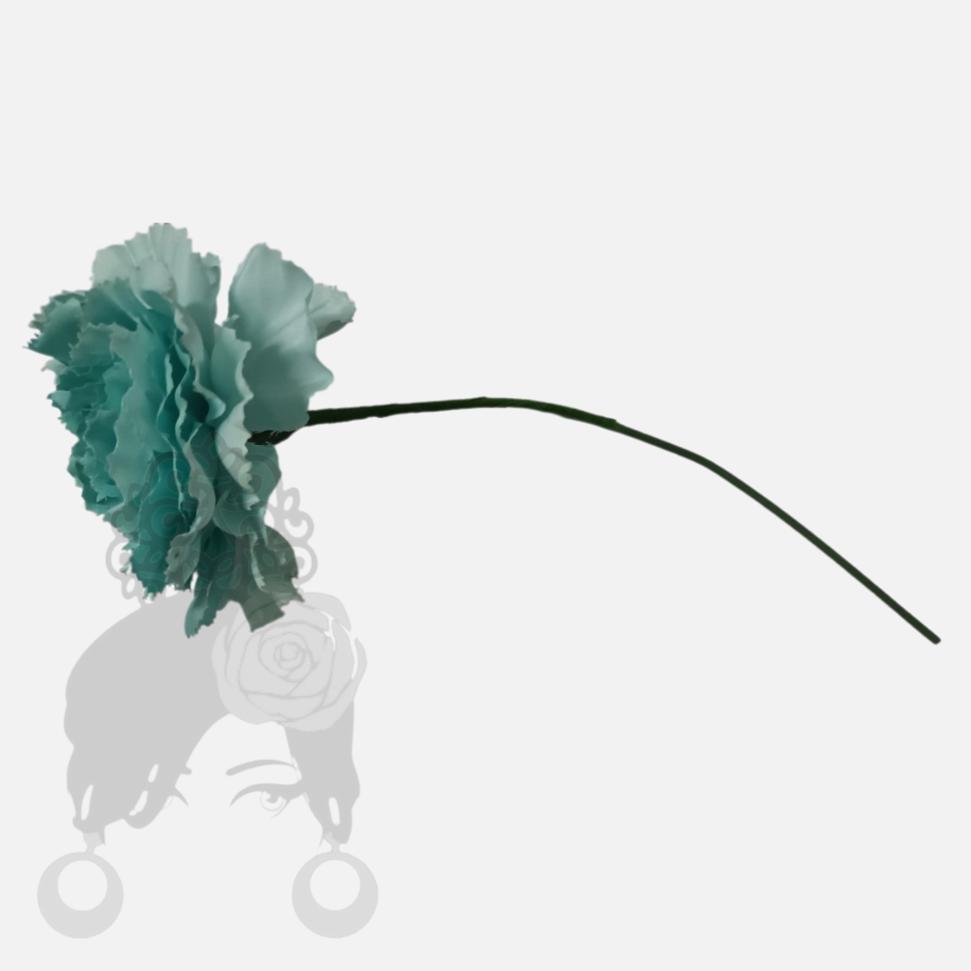Carnations