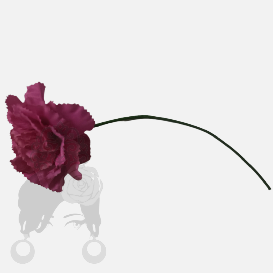Carnations
