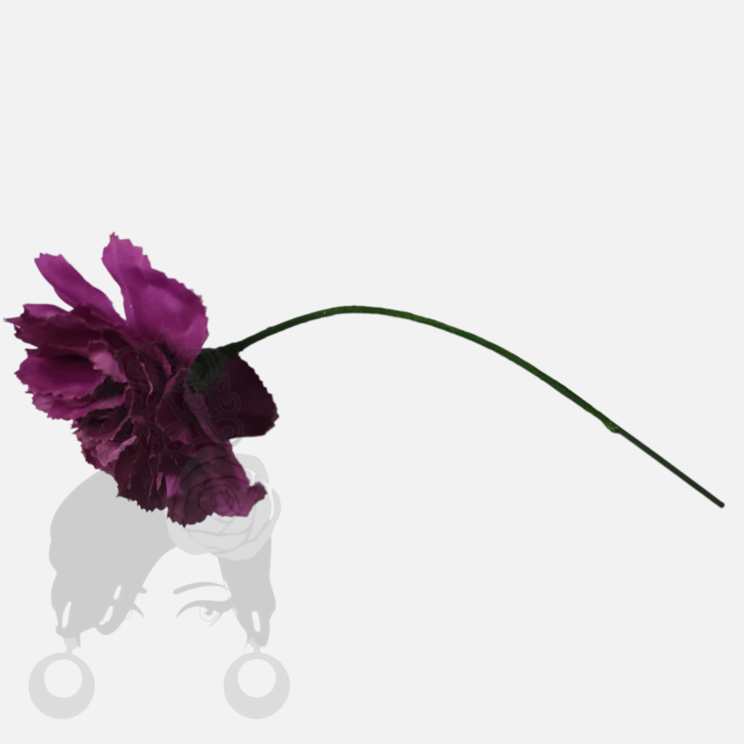 Carnations