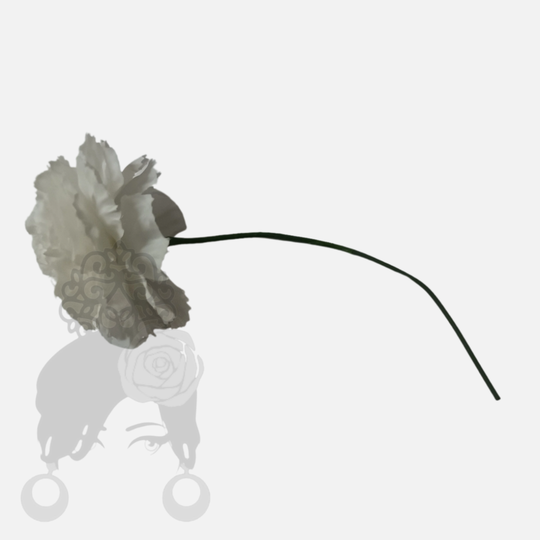 Carnations