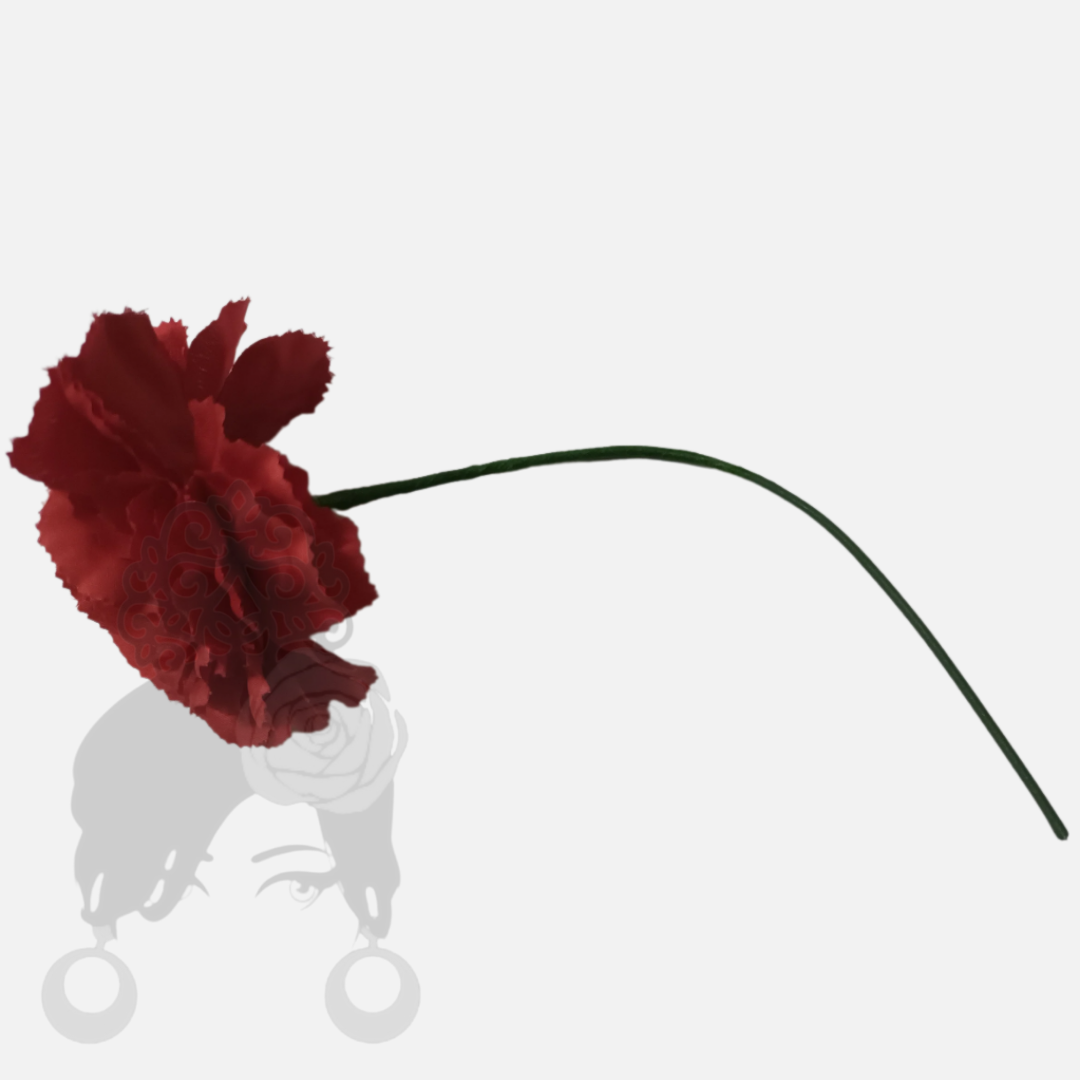 Carnations